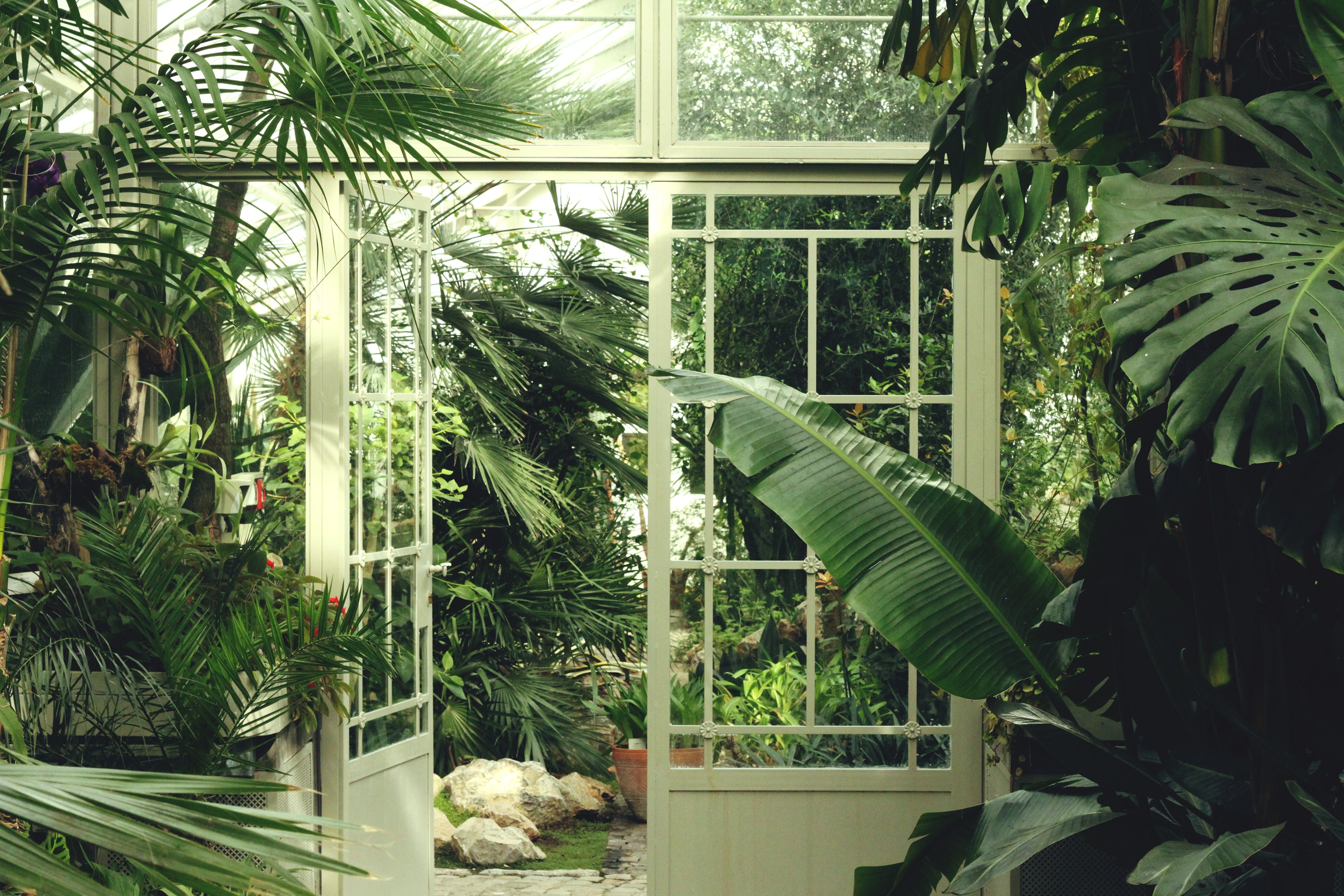 Scent Guide: Exploring the Best Earthy Candle Scents for a Serene Ambiance