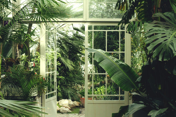 Scent Guide: Exploring the Best Earthy Candle Scents for a Serene Ambiance
